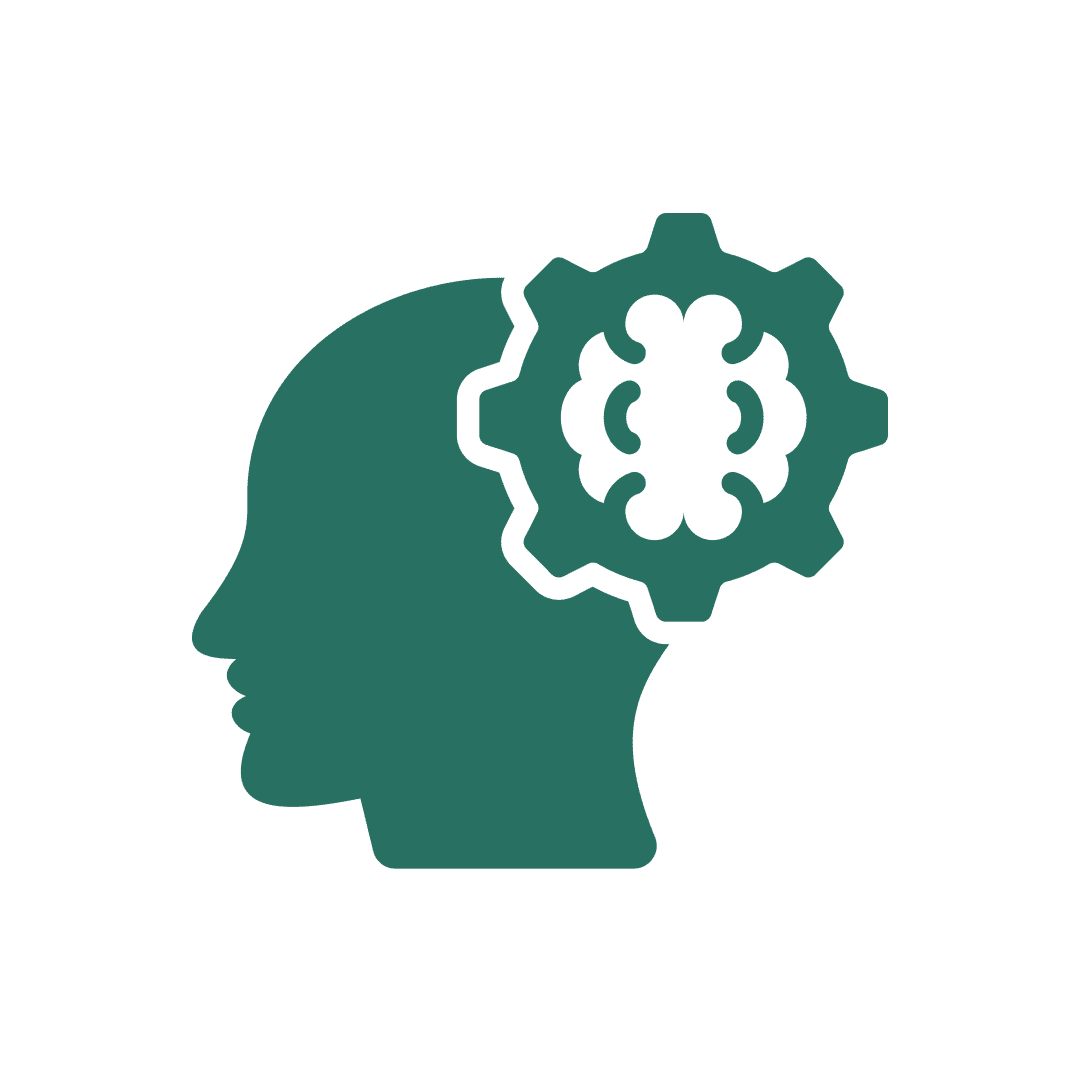 שיפור בתפקוד הקוגניטיבי והריכוז שיפור בתפקוד הקוגניטיבי והריכוז